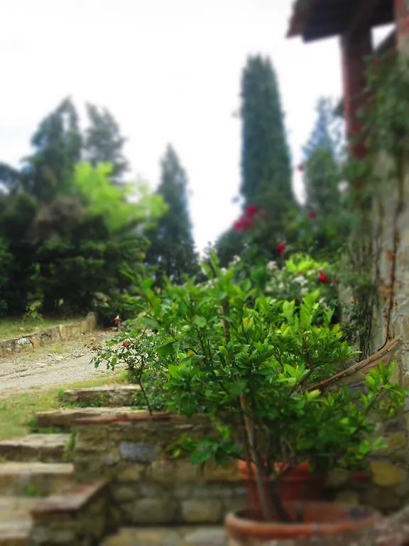 Montelucci Country Resort & Agriturismo Di Charme Pergine Valdarno