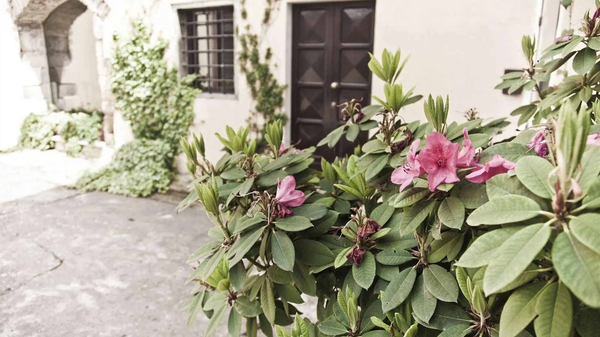 Montelucci Country Resort & Agriturismo Di Charme Pergine Valdarno Lantgård