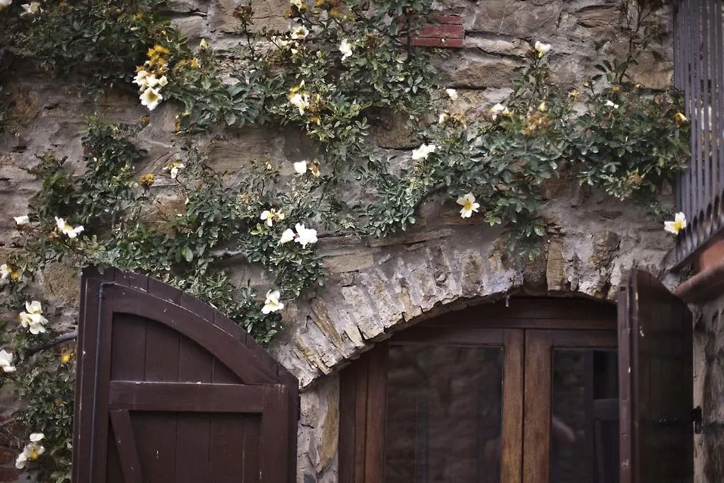 Montelucci Country Resort & Agriturismo Di Charme Pergine Valdarno Farm stay