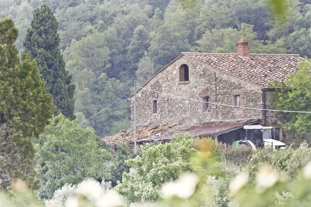 Farm stay Montelucci Country Resort & Agriturismo Di Charme Pergine Valdarno Italy