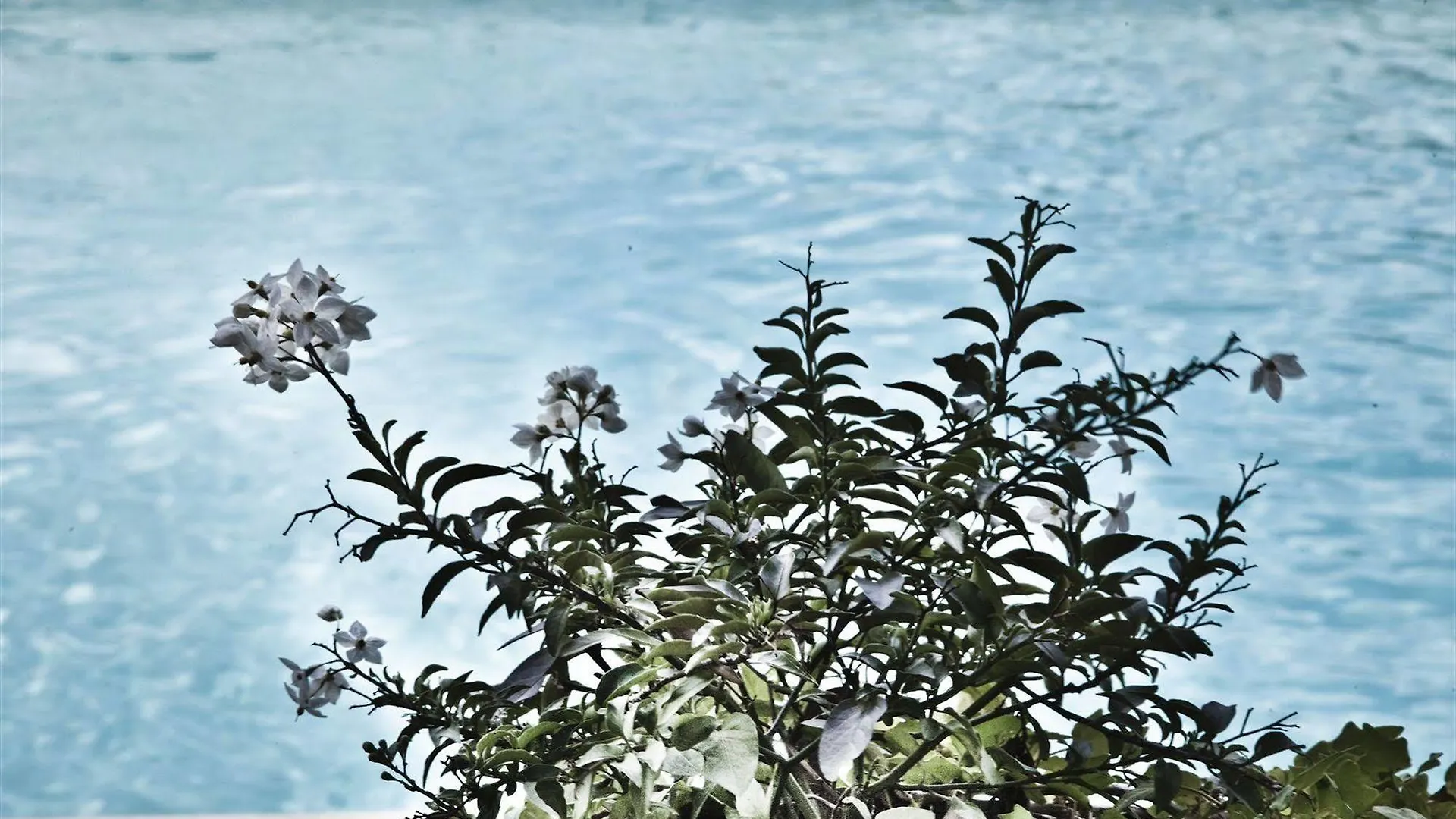 Farm stay Montelucci Country Resort & Agriturismo Di Charme Pergine Valdarno Italy