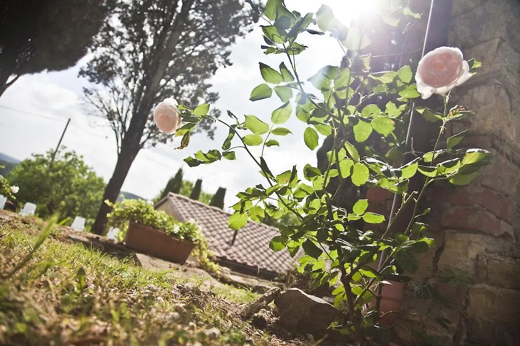 Montelucci Country Resort & Agriturismo Di Charme Pergine Valdarno Farm stay